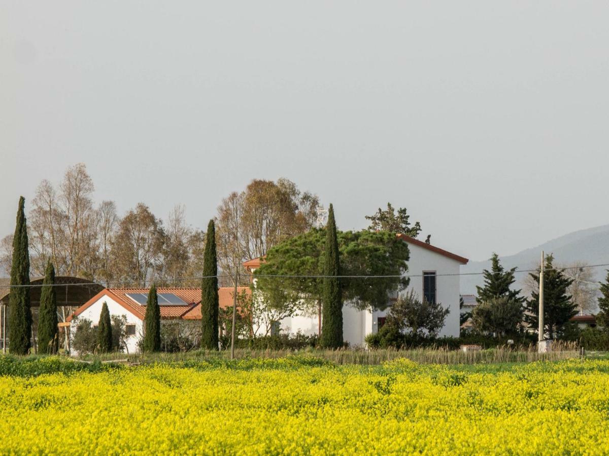B&B Podere684 Grosseto Ngoại thất bức ảnh